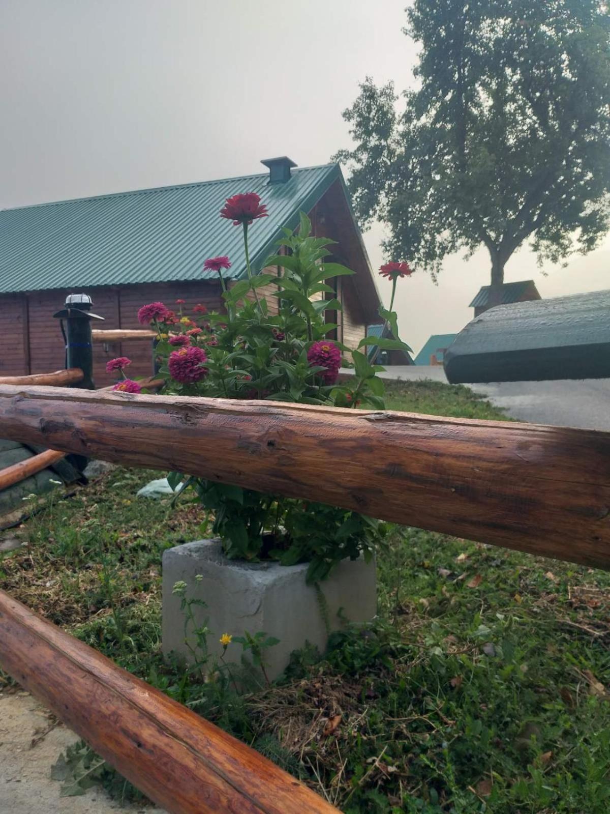 Вілла Etno Selo Zuric Мойковац Номер фото